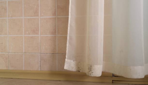 Best Air Quality Testing for Mold Spores  in Dollar Bay, MI