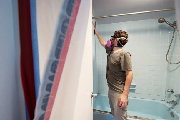 Best Basement Mold Removal  in Dollar Bay, MI