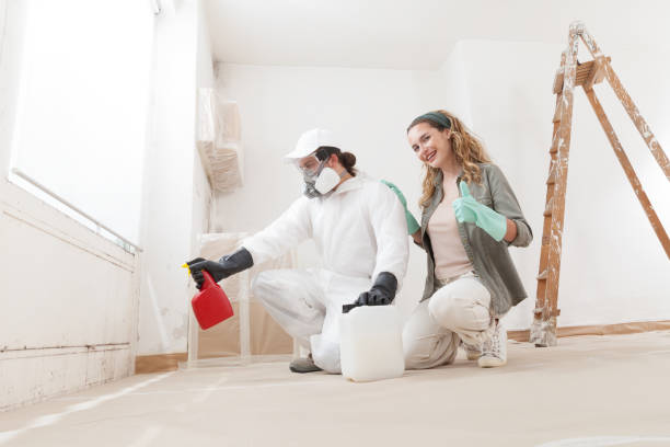 Best Attic Mold Removal  in Dollar Bay, MI