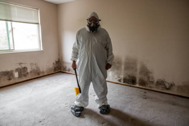 Mold Remediation for Vacation Homes in Dollar Bay, MI